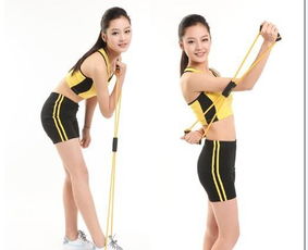 易威斯堡塑胸拉力器 價(jià)格、廠家與選購指南