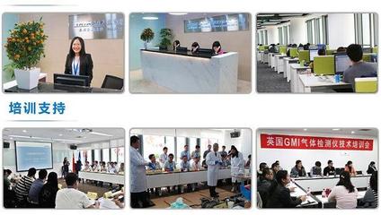 美國福祿克F319交直流數(shù)字鉗表 技術解析、選購指南與應用場景